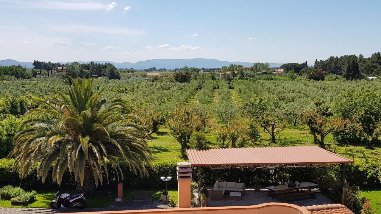 Villa Mandrioli Cecina  Exterior foto